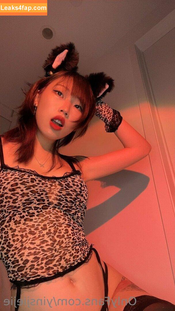 yinsdere / yinsjiejie leaked photo photo #0041