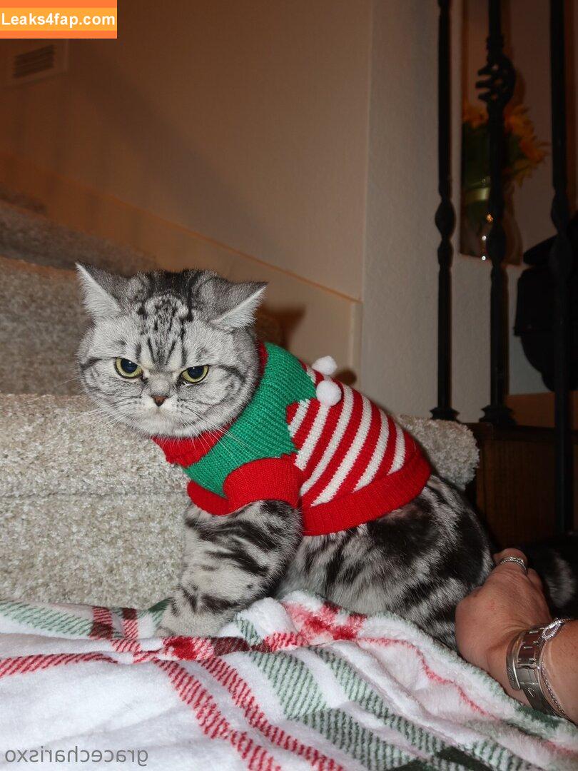 gracecharisxo / itsgracecharis leaked photo photo #0024