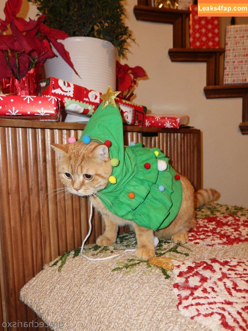 gracecharisxo / itsgracecharis leaked photo photo #0025