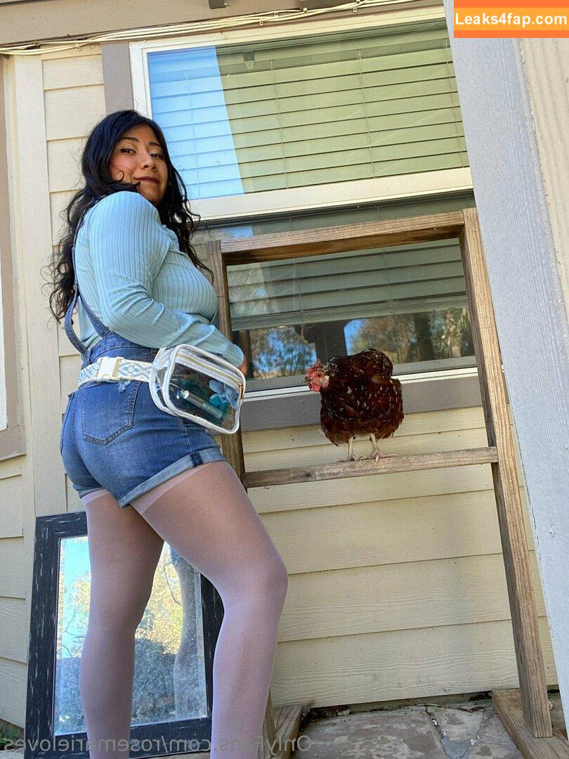 rosemarieloves / irlmommy23 / rosemarie_lovesxoxo leaked photo photo #0019