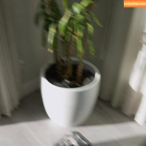 Addisonvodka photo #0295
