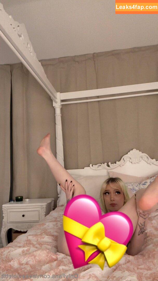 EvaViolet / evaaviolett слитое фото фото #0001