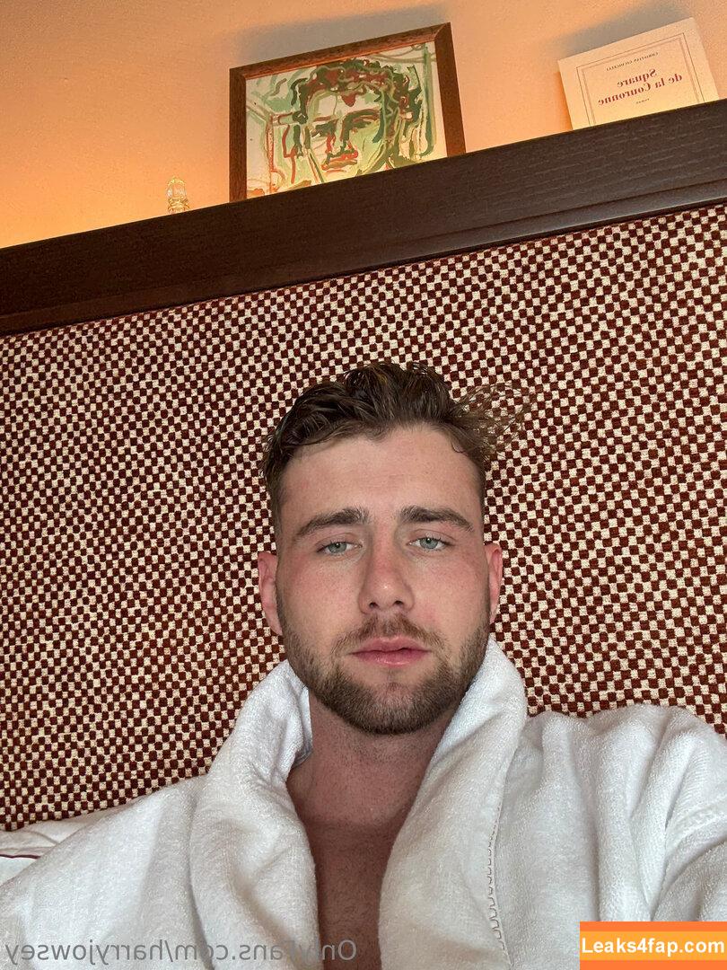 harryjowsey /  leaked photo photo #0005