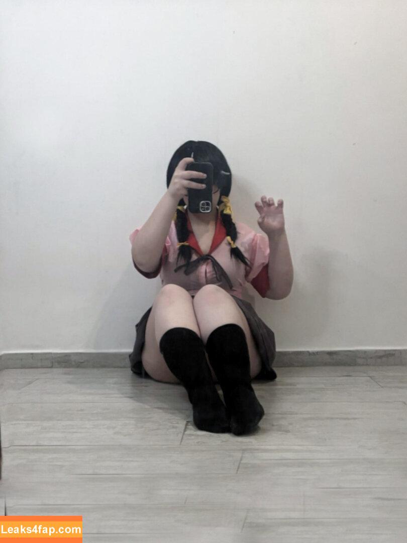 12HMXmulti / tomosanes слитое фото фото #0011