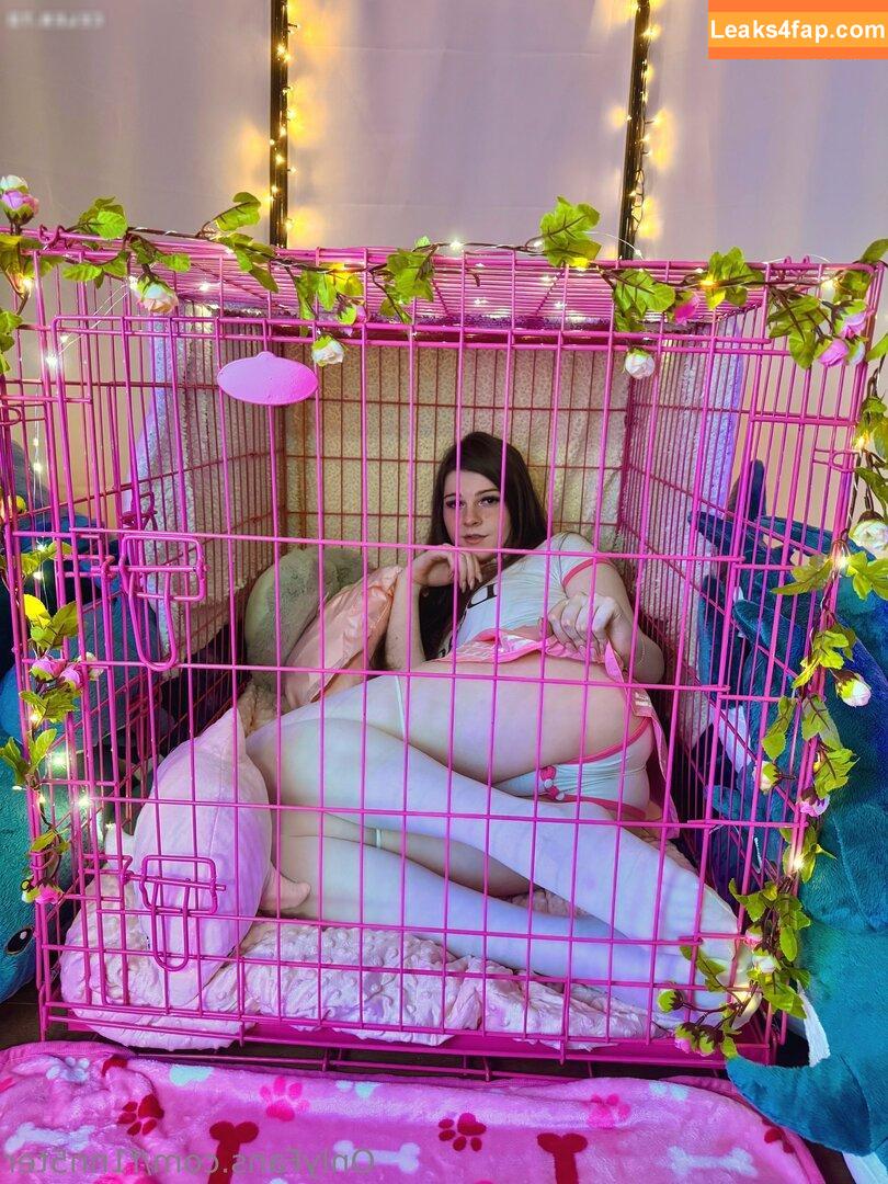 F1nn5ter / StreamerBans / rosetwitch leaked photo photo #1002