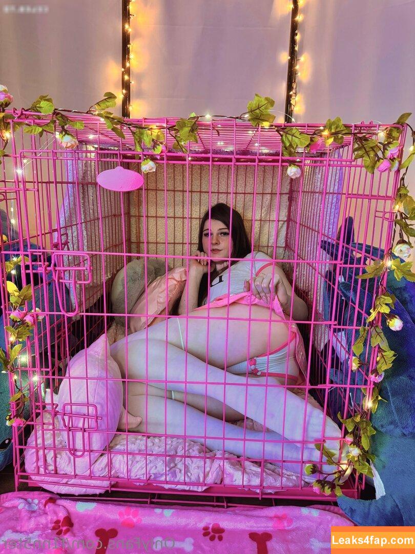 F1nn5ter / StreamerBans / rosetwitch leaked photo photo #1005