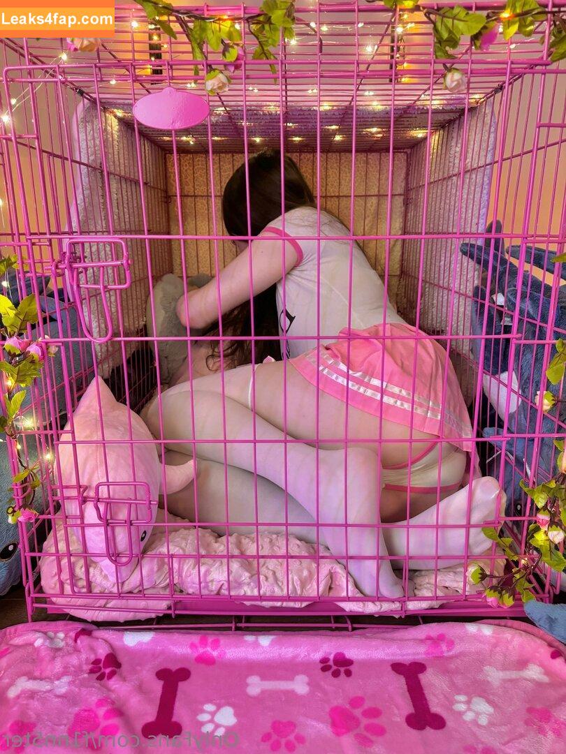 F1nn5ter / StreamerBans / rosetwitch leaked photo photo #1006