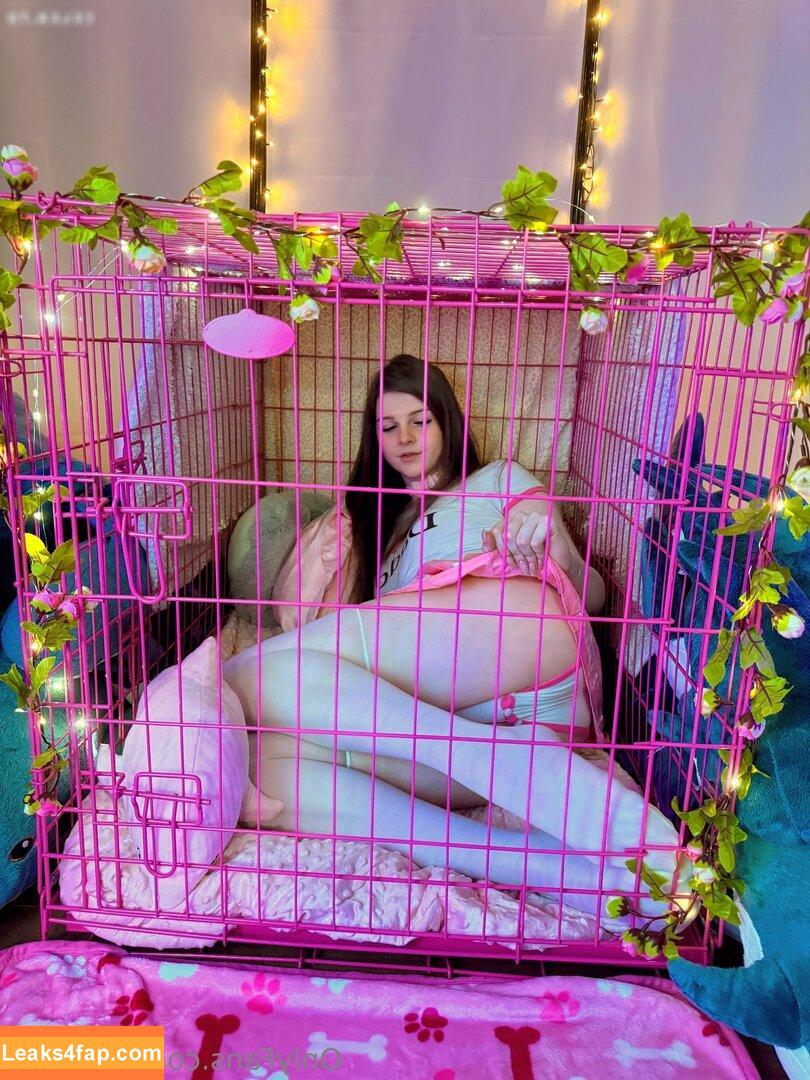 F1nn5ter / StreamerBans / rosetwitch leaked photo photo #1016