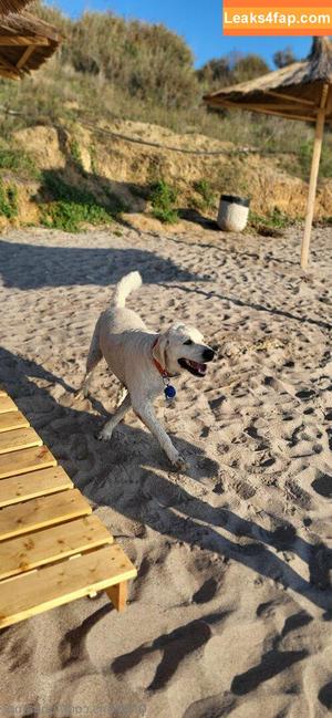 Luna Amor фото #0026