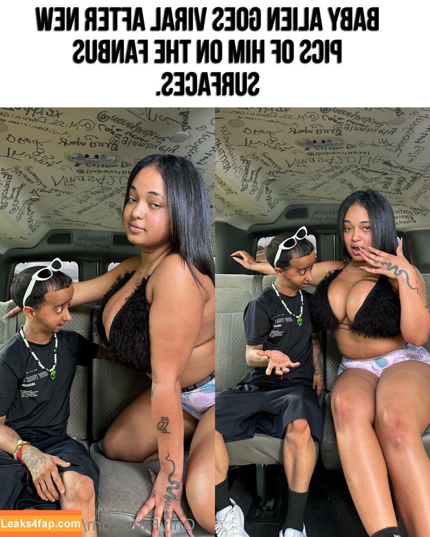 thefanvan / thefanbusig leaked photo photo #0015