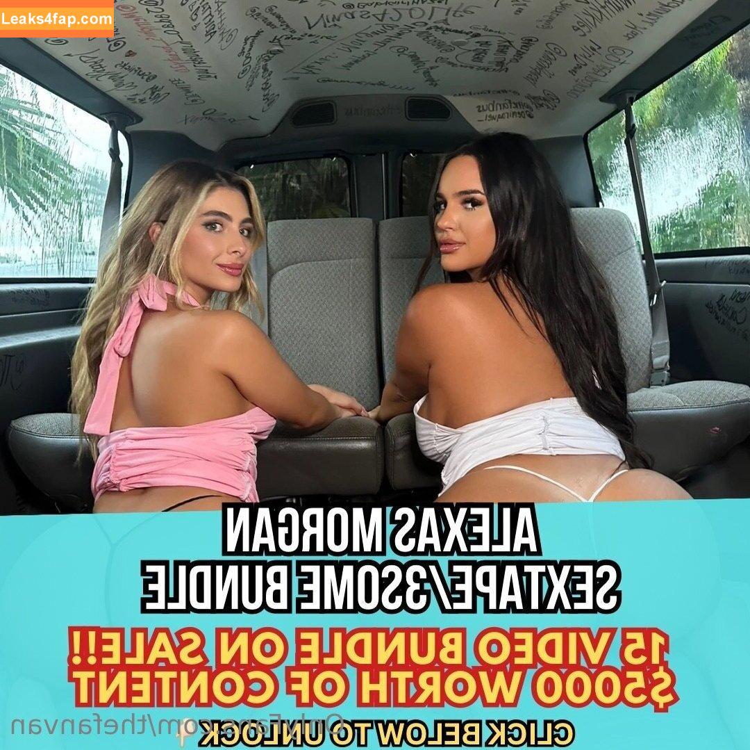 thefanvan / thefanbusig leaked photo photo #0089