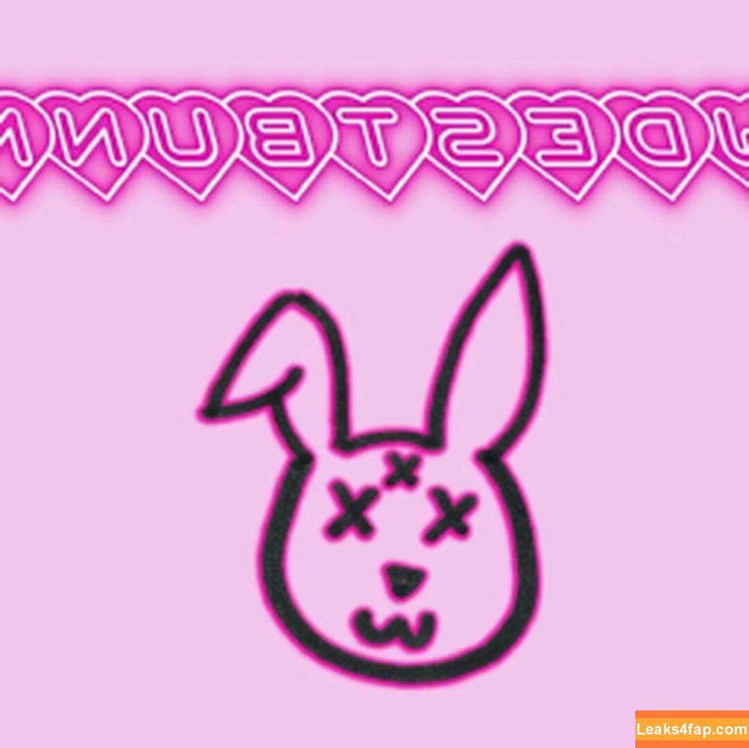 lewdestbunnie / lewd.bunnie слитое фото фото #0001