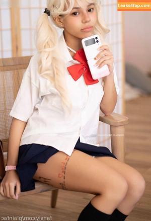 Plainfac photo #0028
