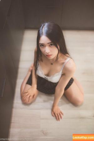 Nikkinami photo #0010