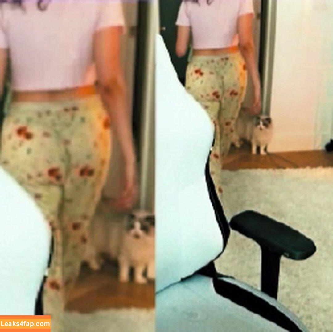 Pokimane / pokimanelol / pokinaneonlyfan слитое фото фото #0121