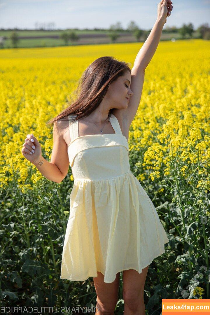 Little Caprice / LittleCaprice / little.caprice.official leaked photo photo #0995