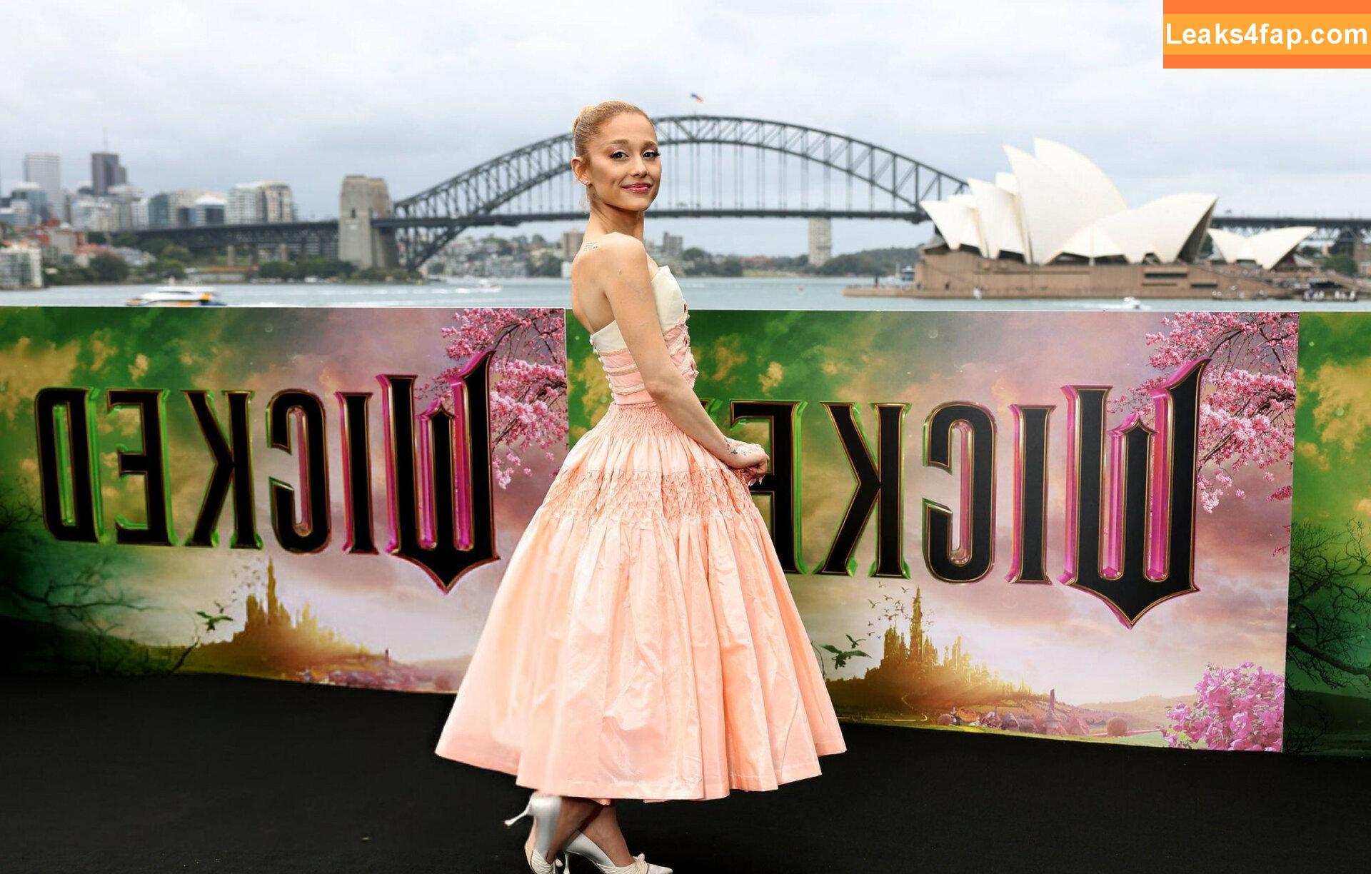 Ariana Grande / arianagrande / biancasotelo14 слитое фото фото #0112