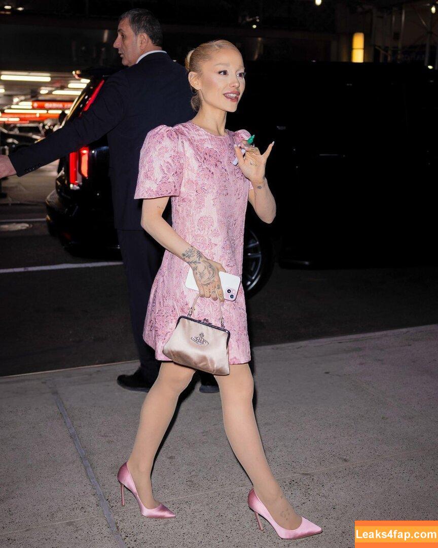 Ariana Grande / arianagrande / biancasotelo14 leaked photo photo #0213