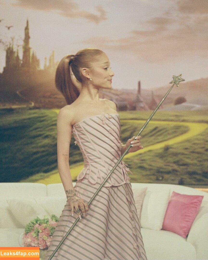 Ariana Grande / arianagrande / biancasotelo14 leaked photo photo #0355