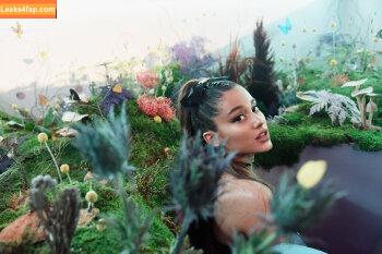 Ariana Grande / arianagrande / biancasotelo14 слитое фото фото #0370