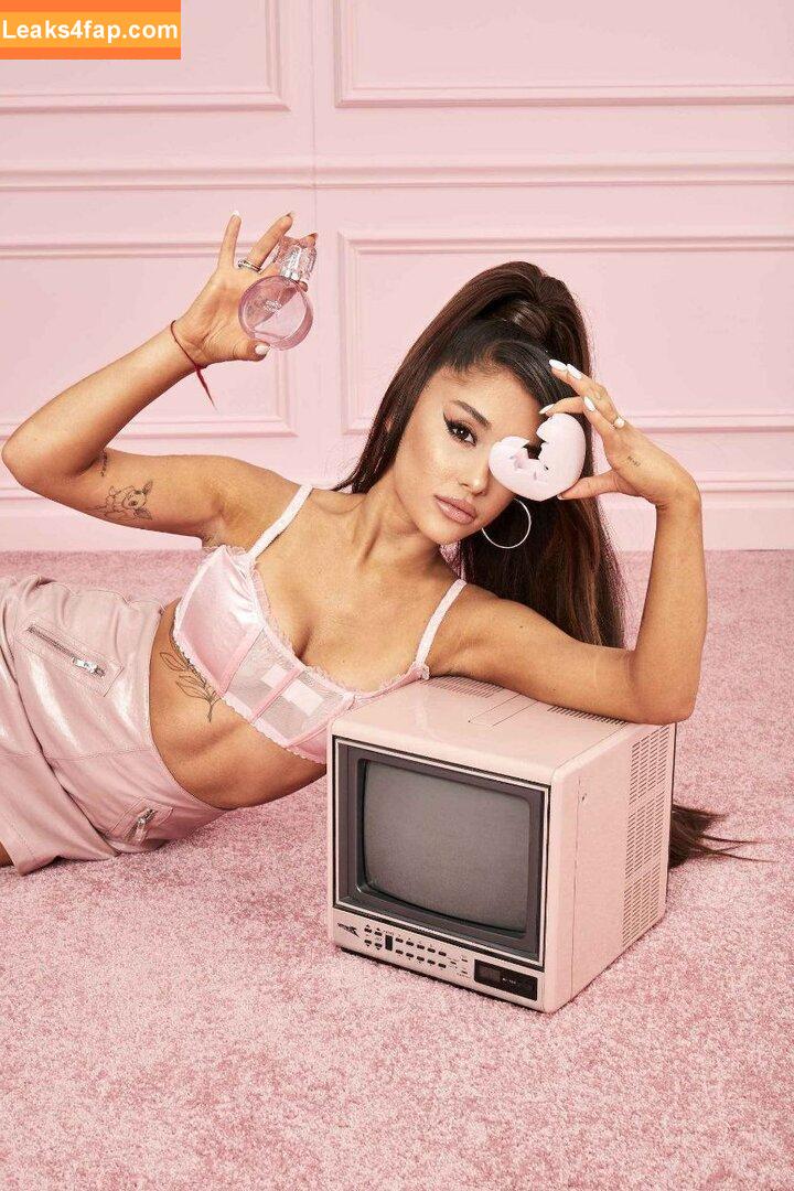 Ariana Grande / arianagrande / biancasotelo14 слитое фото фото #0500