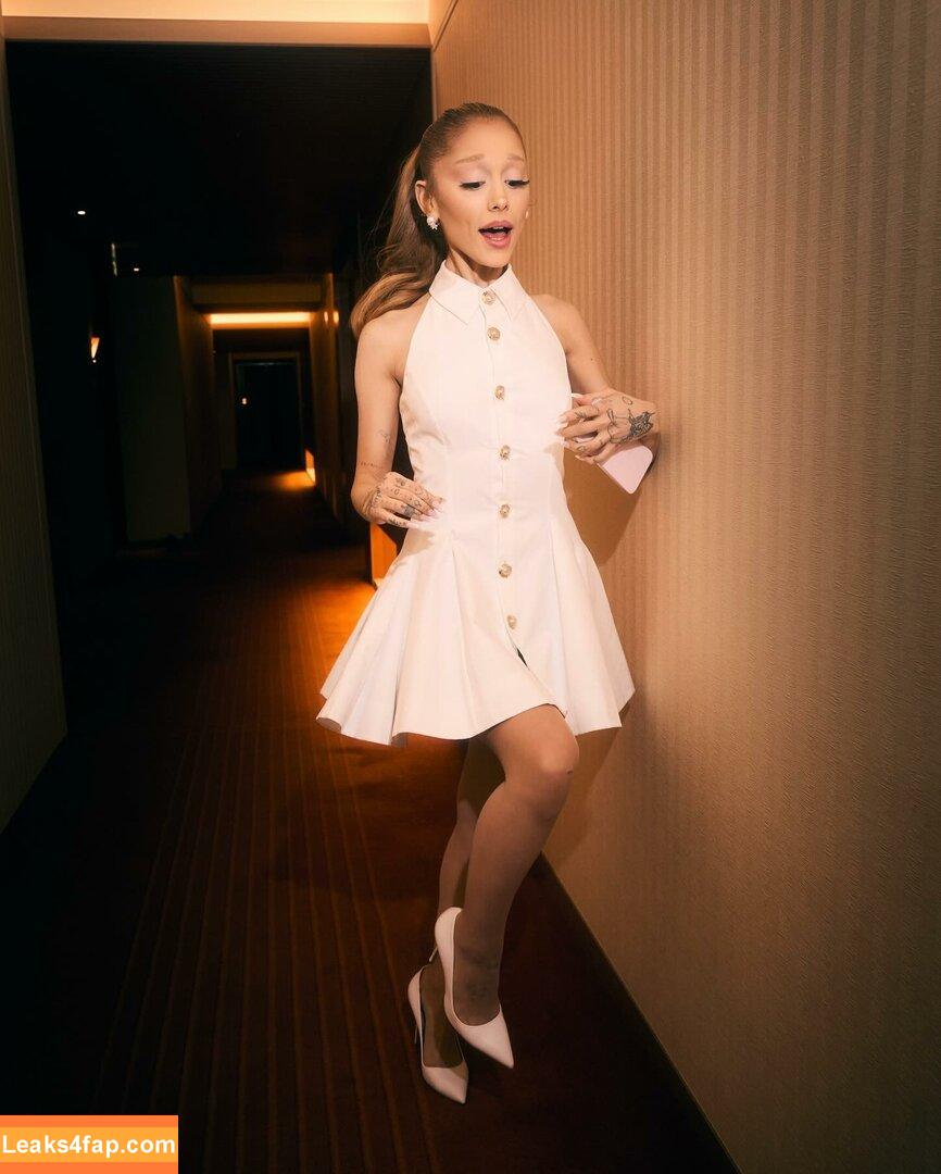 Ariana Grande / arianagrande / biancasotelo14 слитое фото фото #0631