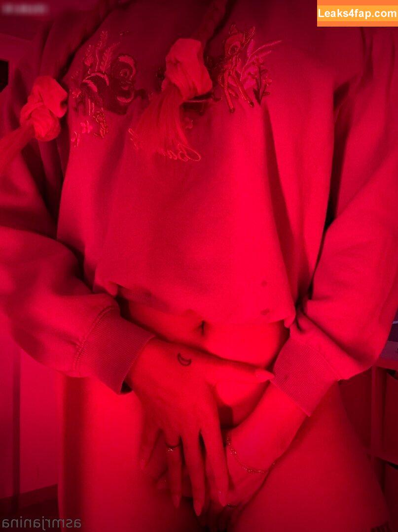 ASMR Janina / asmrjanina leaked photo photo #0213