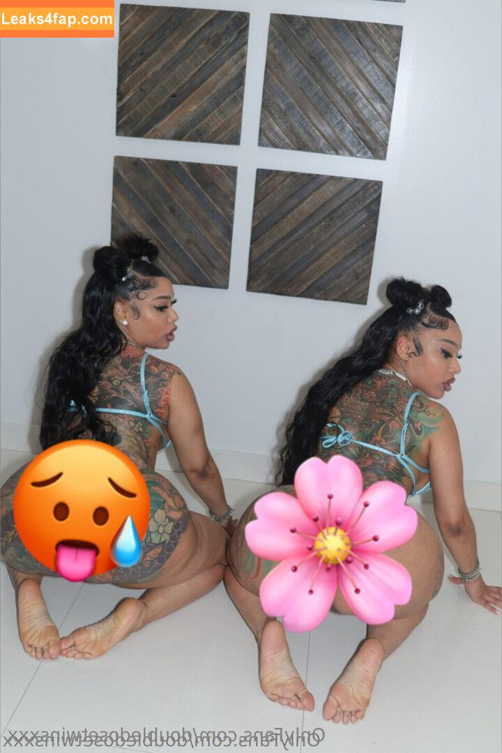 doubledosetwinsxxx / doubledose_twins leaked photo photo #0030