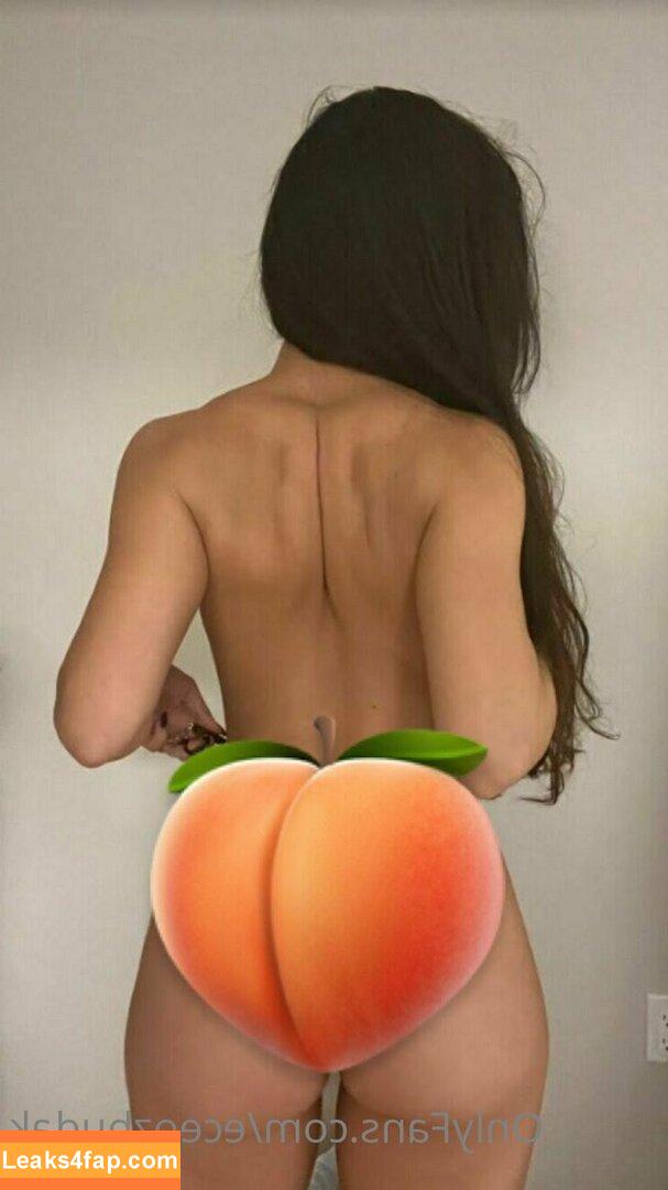 eceozbudak /  leaked photo photo #0008