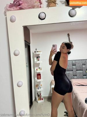 karina.fernandez photo #0005