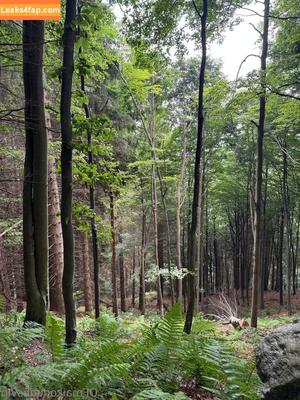 missmaikoxx фото #0059