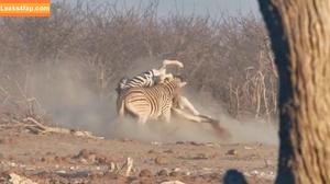 Nadine Freund photo #0067