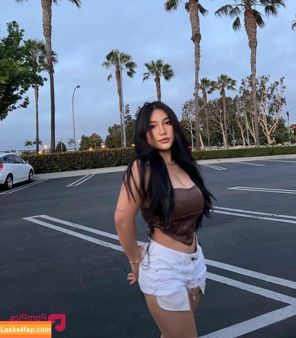 Ngan Nguyen / linnynguyen / nganguyeen leaked photo photo #0023
