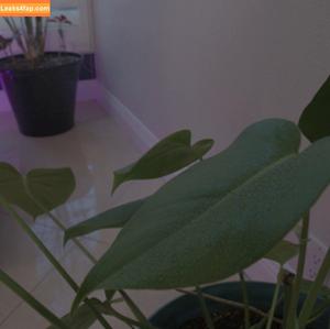 Nicole Doshi photo #2079