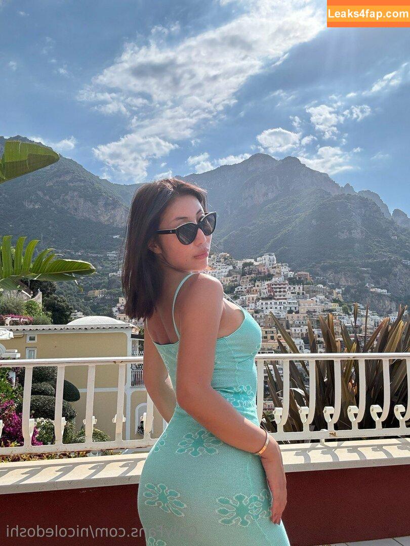 nicoledoshi / vickichase / yesdoshi слитое фото фото #0128