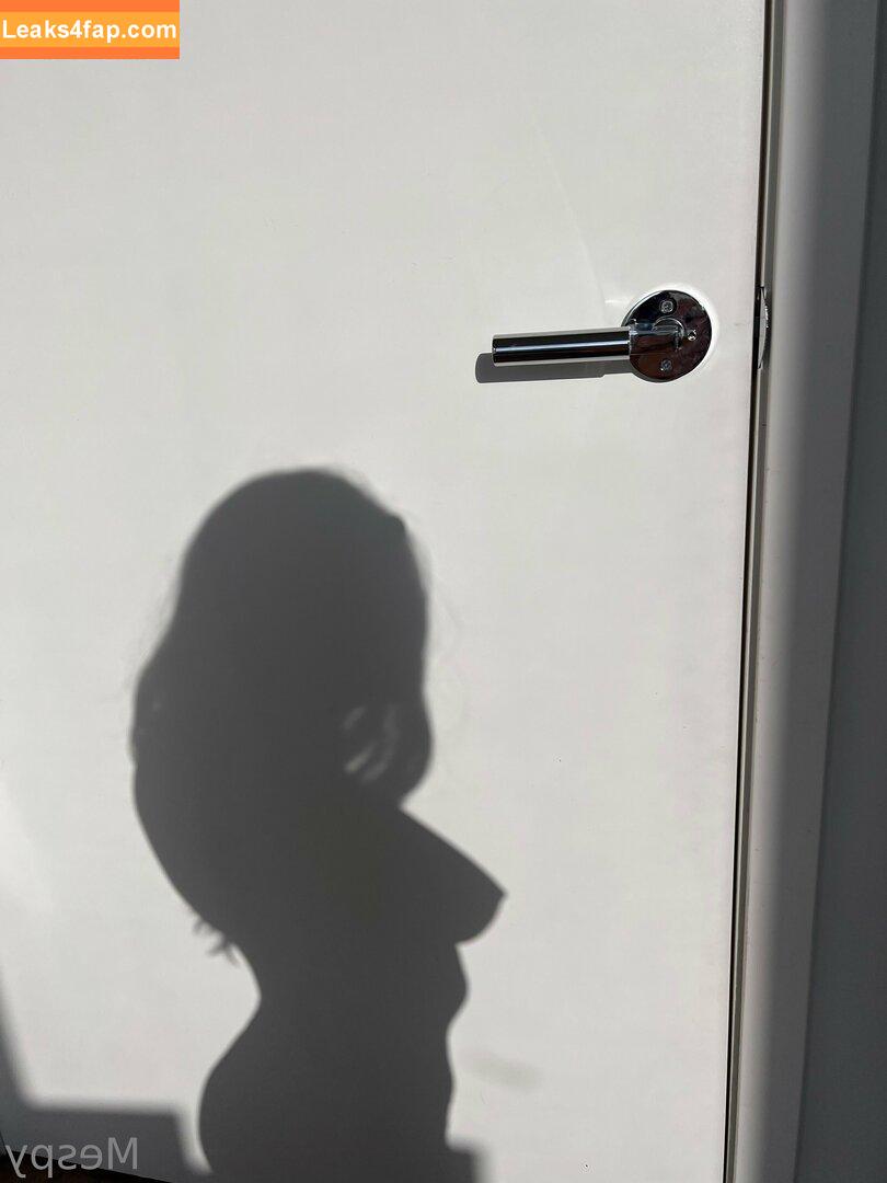 playgirlmode /  leaked photo photo #0016