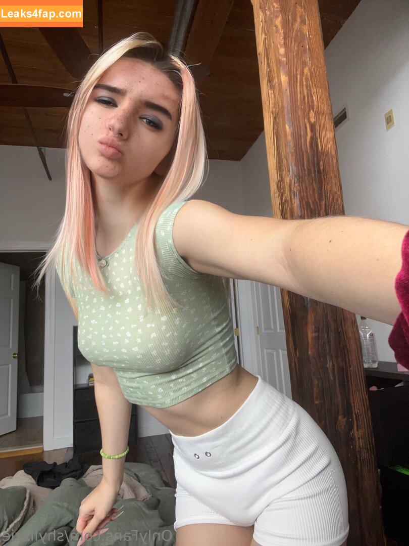 shylizzie /  leaked photo photo #0012