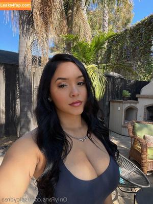 Spicydrea photo #0022