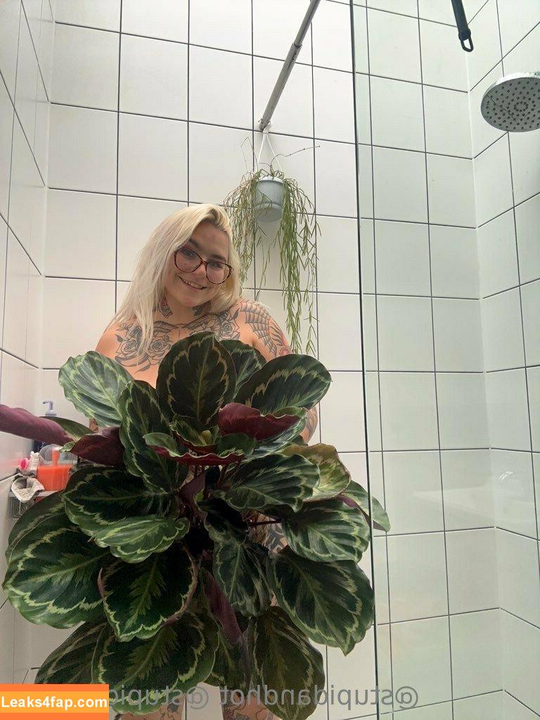 stupiderandhotter /  leaked photo photo #0005