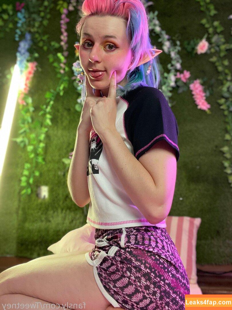 Tweetney / tweetney_chan / tweetneypie leaked photo photo #0026