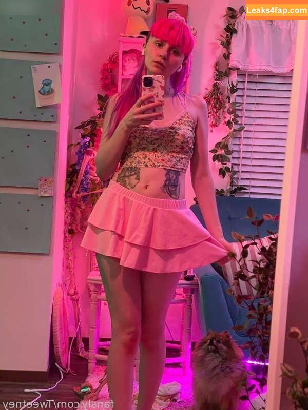 Tweetney / tweetney_chan / tweetneypie leaked photo photo #0263