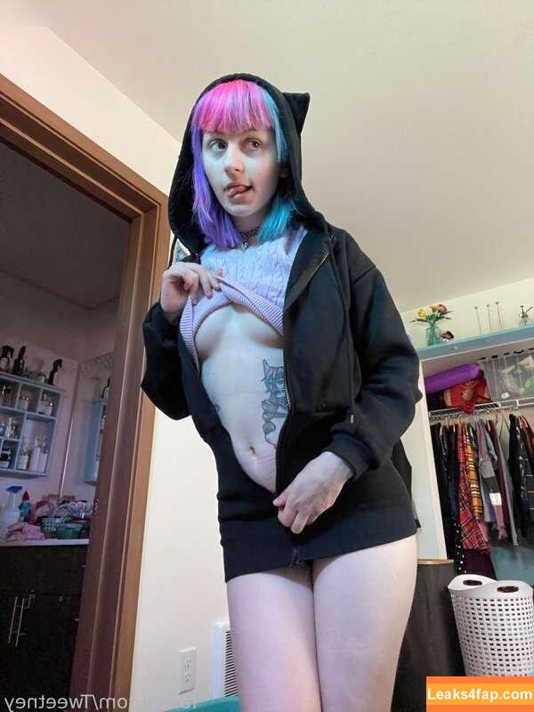 Tweetney / tweetney_chan / tweetneypie leaked photo photo #0298