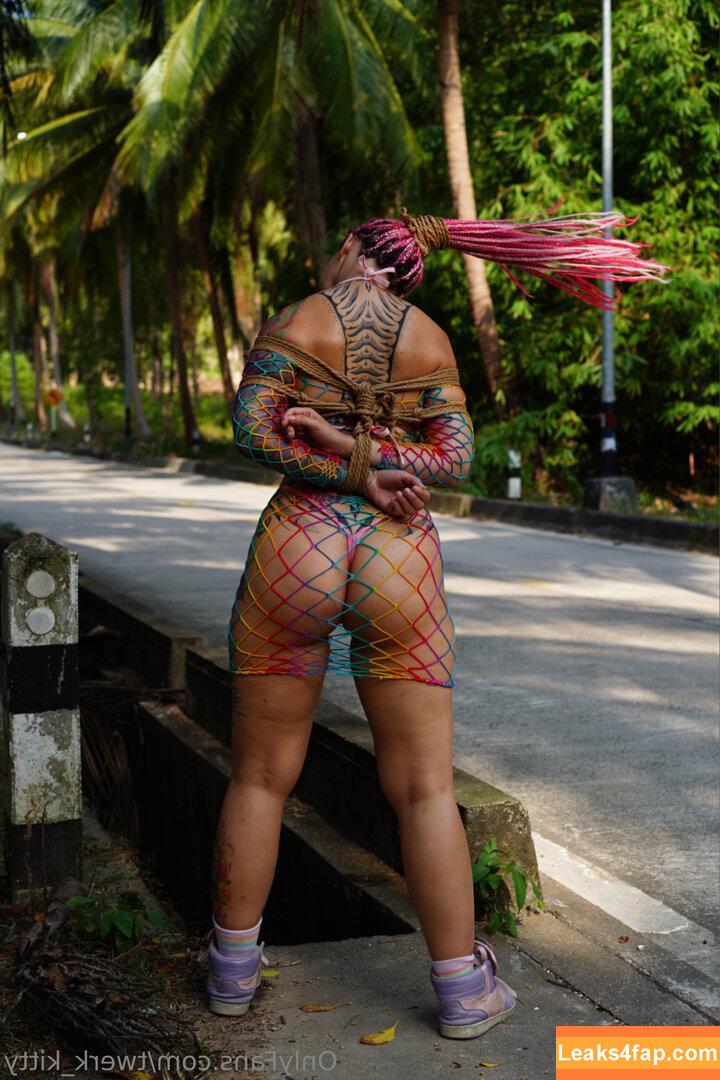 Twerk Kitty / Twerk_Kitty / twerk.it.kitty слитое фото фото #0146