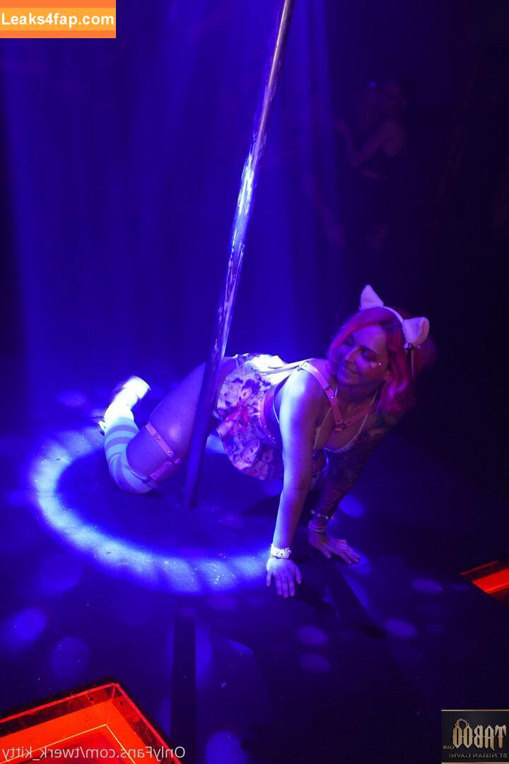 Twerk Kitty / Twerk_Kitty / twerk.it.kitty слитое фото фото #0157