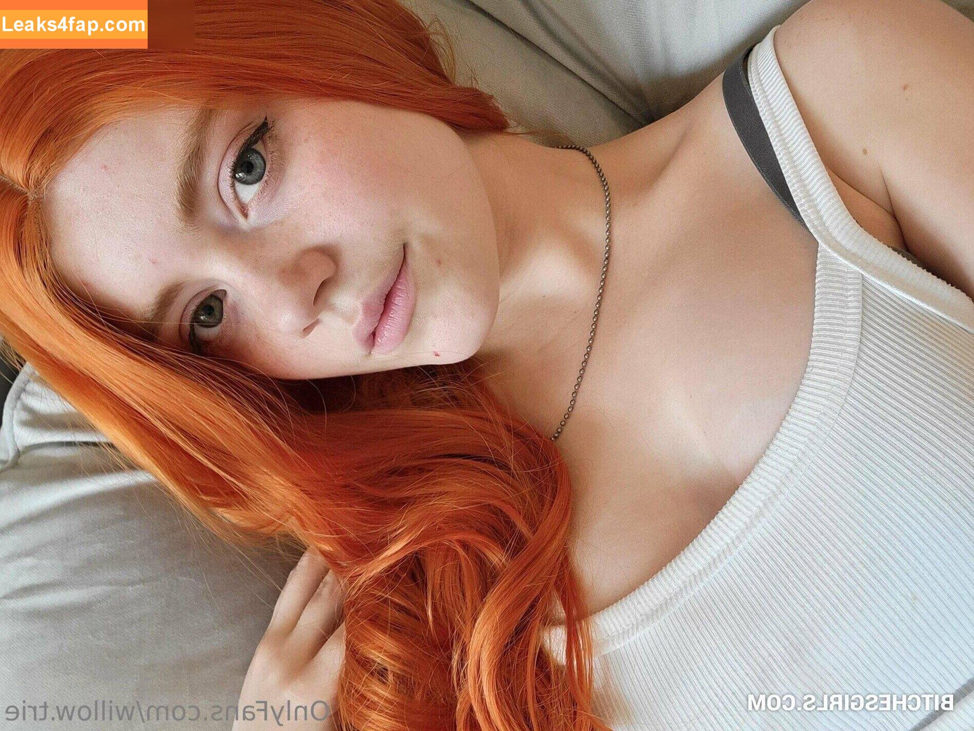 Willow.Trie / user leaked photo photo #0115