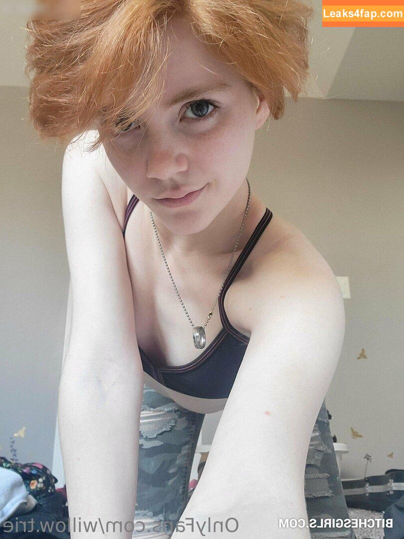 Willow.Trie / user leaked photo photo #0222