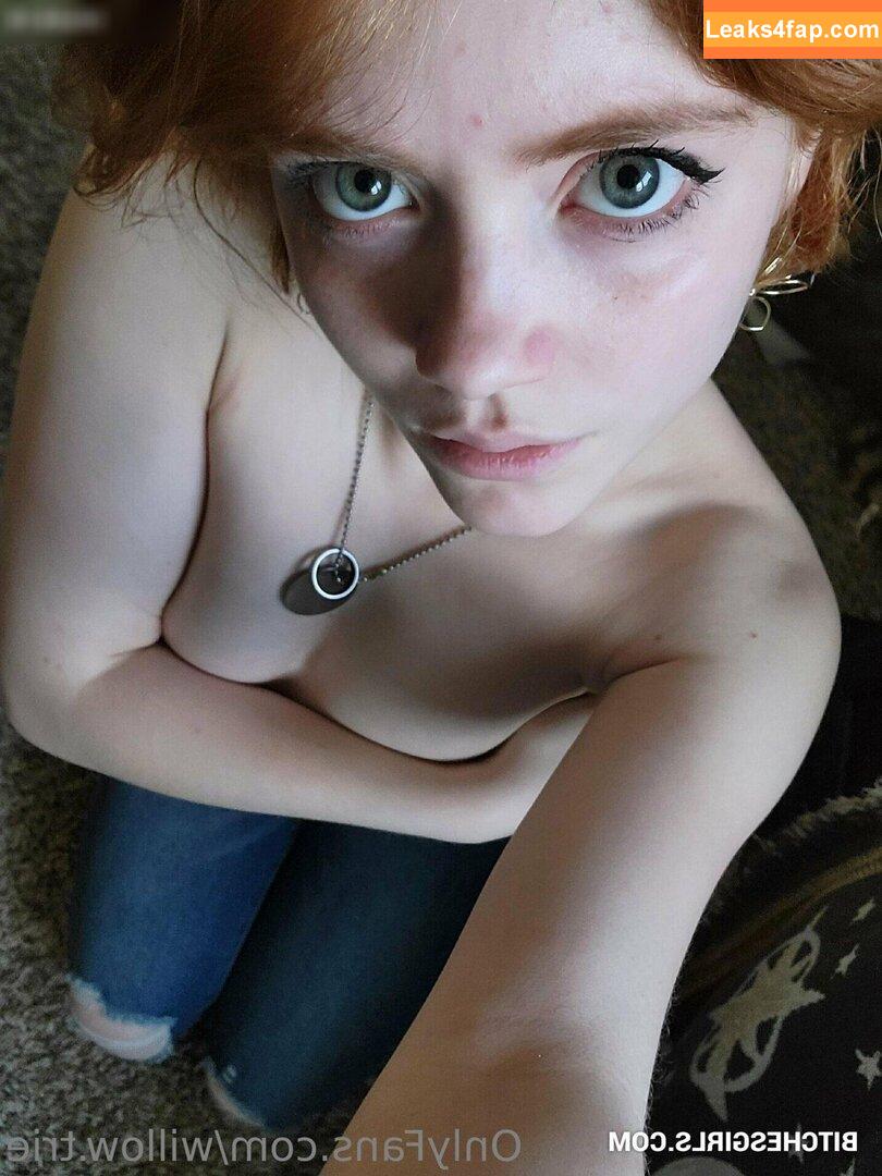 Willow.Trie / user leaked photo photo #0271