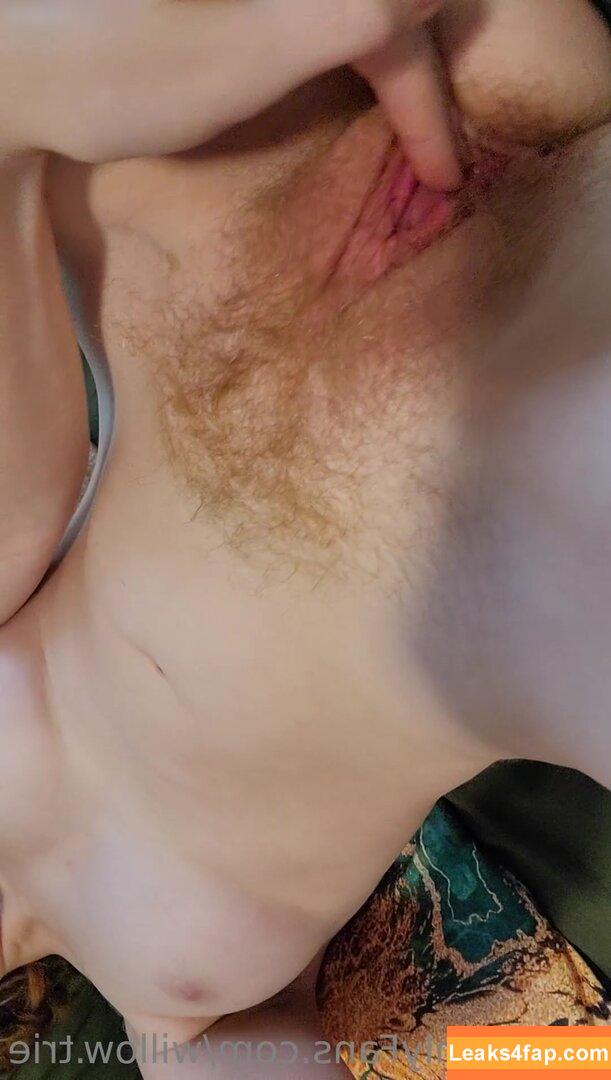 Willow.Trie / user leaked photo photo #0313