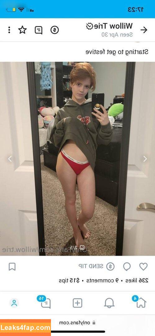 Willow.Trie / user leaked photo photo #0315