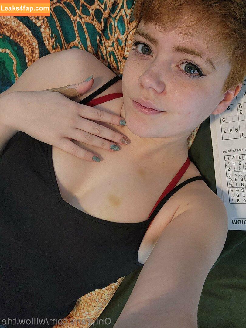 Willow.Trie / user leaked photo photo #0391